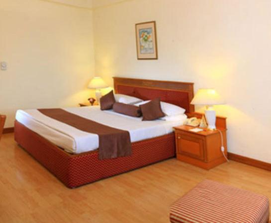 Hotel Hridey Inn New Delhi Chambre photo
